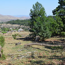 Clearing of debris