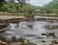 Fountain