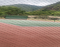 Tennis court